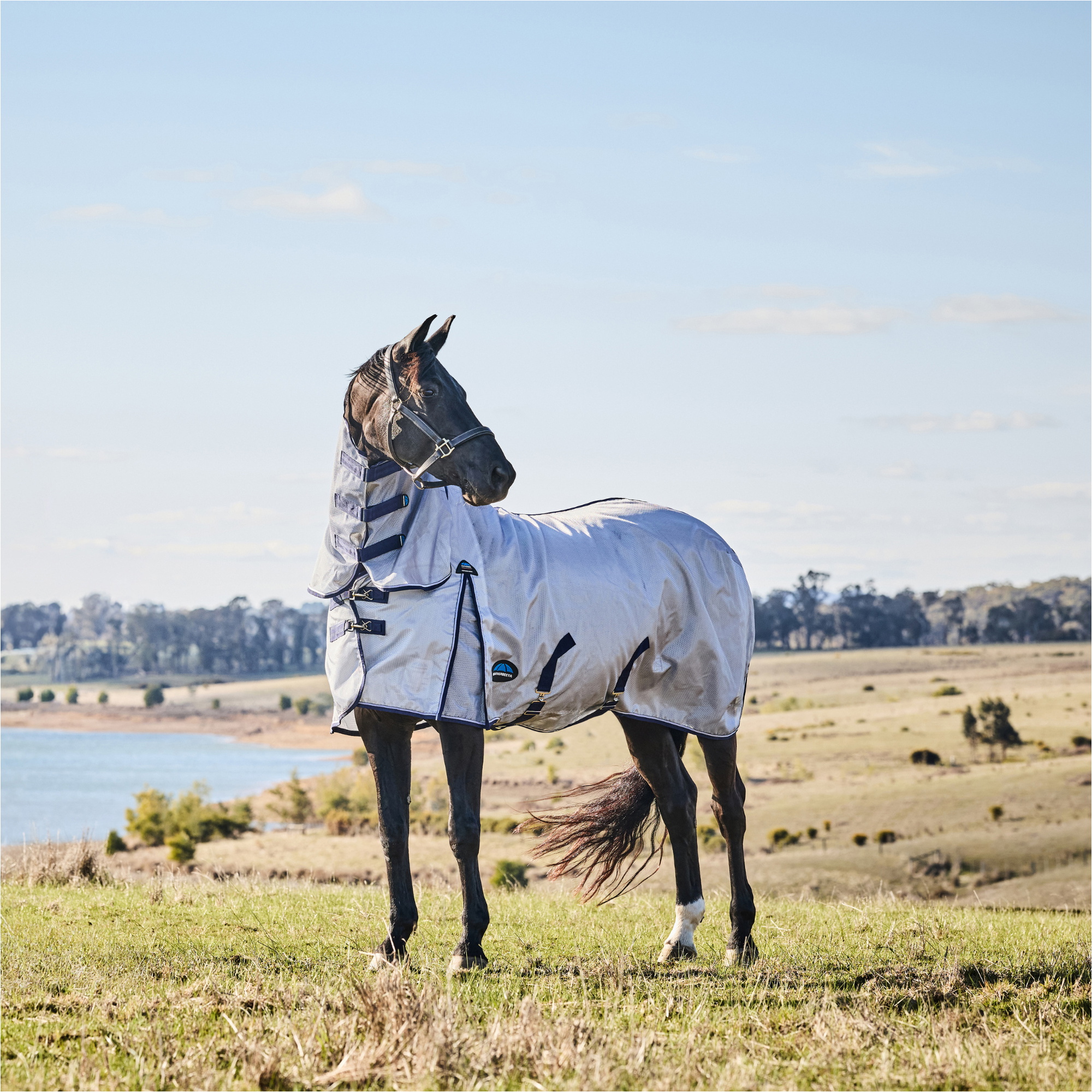 2026 Weatherbeeta Comfitec Hexi Shield Fly Sheet Combo 1029538 - Silver / Navy / White